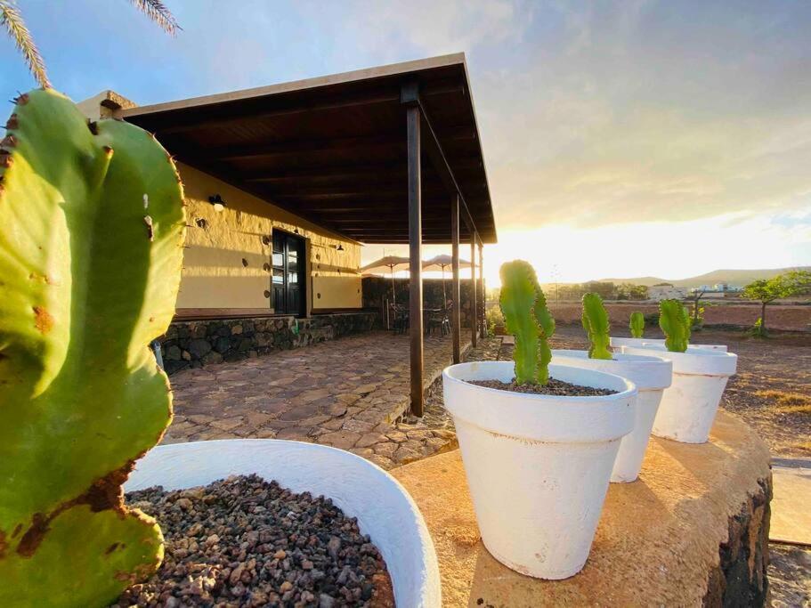 Erbania Heritage, Naturally Puerto del Rosario (Fuerteventura) Exterior foto