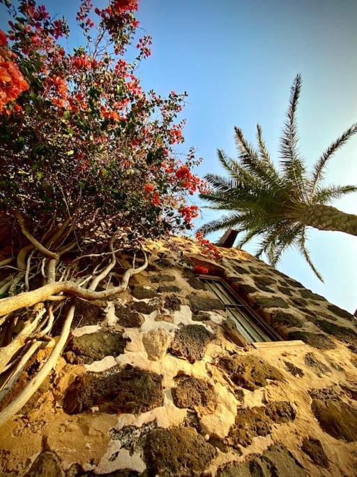 Erbania Heritage, Naturally Puerto del Rosario (Fuerteventura) Exterior foto