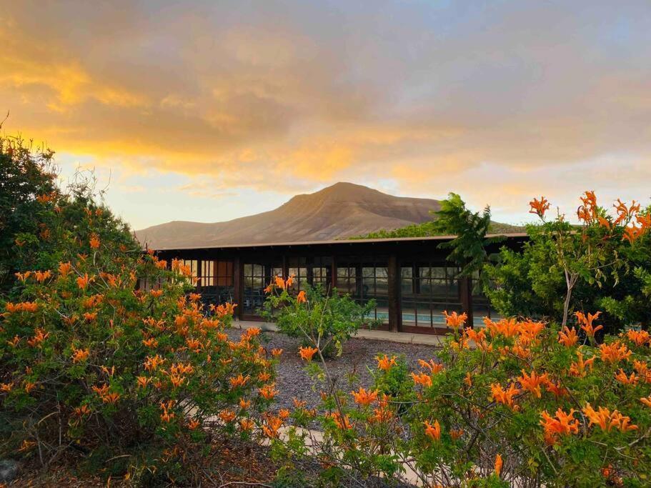 Erbania Heritage, Naturally Puerto del Rosario (Fuerteventura) Exterior foto